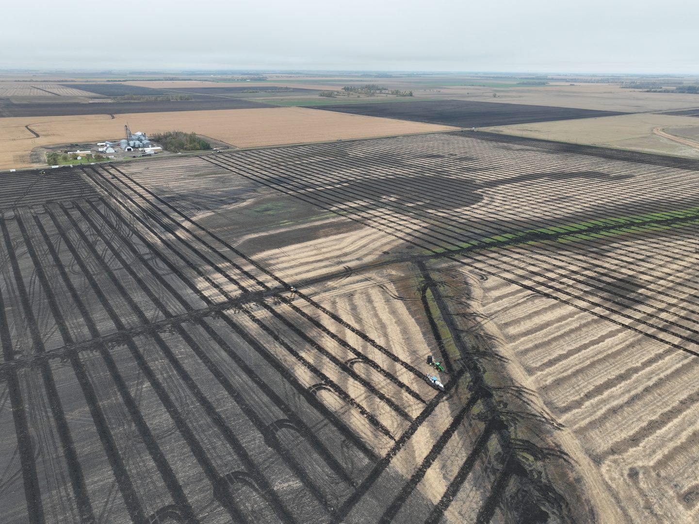 Field Overview